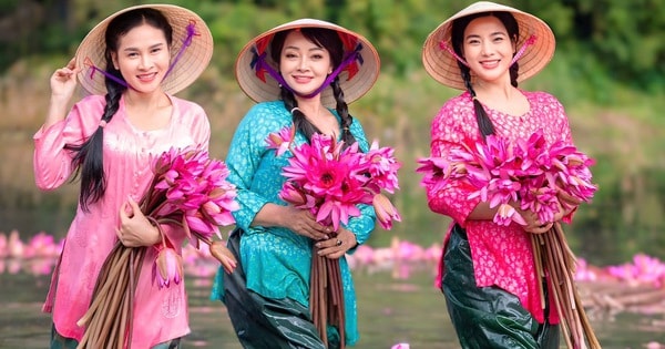 Nghệ sĩ Trà My mặc áo bà ba khoe sắc bên hoa súng ở Tam Cốc