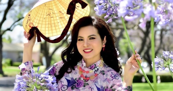 Một hoa hậu Việt định cư ở Mỹ bị chấn thương đầu, nghẽn mạch máu não, mắc trầm cảm