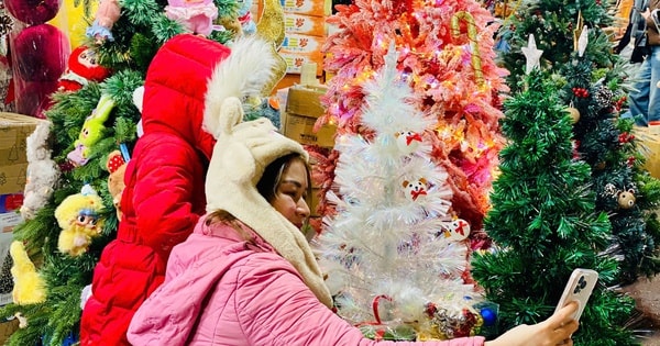 Thị trường Noel 2024: Cây thông Noel ‘túi mù’ giá tiền triệu hút giới trẻ có gì đặc biệt?