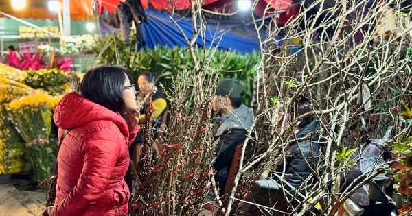 Thị trường Tết 2025: Hoa rừng đua nhau xuống phố phục vụ người dân chơi Tết sớm