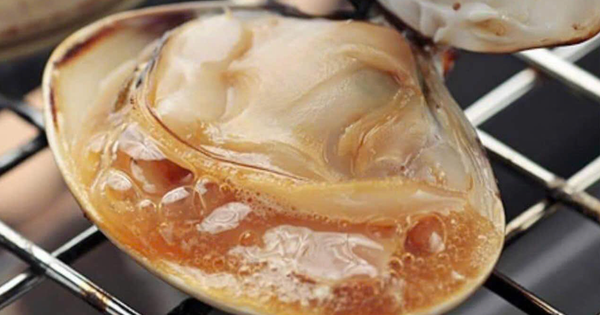 Chợ hải sản Tết: Chỉ 1 con sò bơ giá lên tới 500.000 đồng