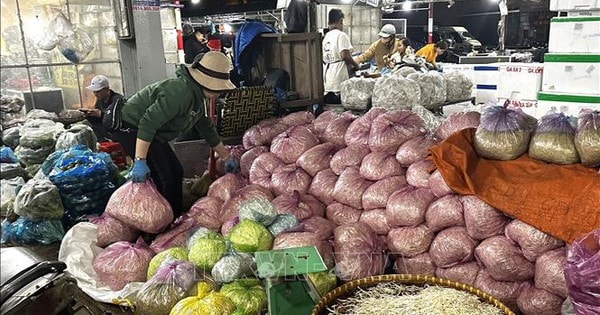 KIiểm tra, đảm bảo an toàn thực phẩm sau vụ giá đỗ ngâm chất cấm