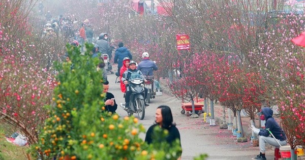 Hà Nội tổ chức 70 chợ hoa xuân dịp Tết Nguyên đán Ất Tỵ