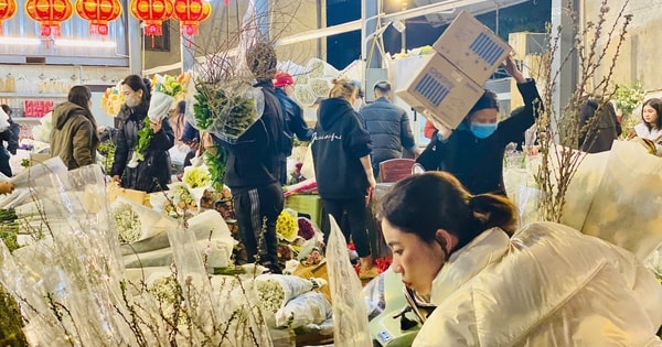 Đào truyền thống đang phải 'bon chen' với những loại đào nào đang rất ‘hot’ trên thị trường phục vụ người dân chơi Tết 2025