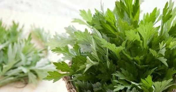 Treo túi lá ngải cứu ở đầu giường có tác dụng gì?