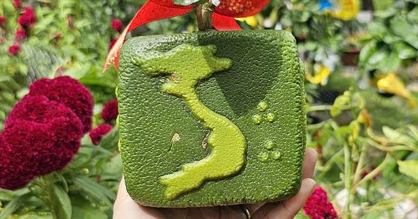 Loại trái cây độc, lạ 'lên ngôi' mùa Tết Ất Tỵ 2025