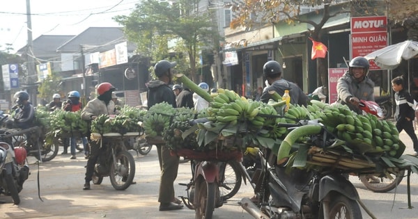 Phiên chợ đặc biệt ở vùng biên bán duy nhất một loại quả thơm ngọt