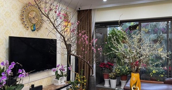 Áp dụng mẹo phong thủy ngày Tết dưới đây để đón tài lộc, may mắn cho gia đình trong suốt năm mới