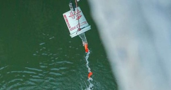 Cá chép 'đu dây' xuống sông Hồng tiễn ông Công ông Táo về trời