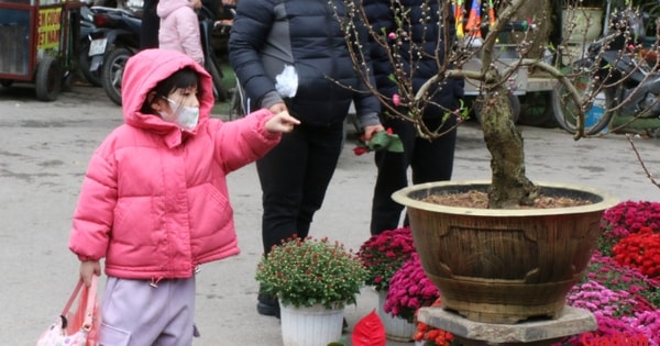 Thăm chợ hoa lâu đời bậc nhất Thủ đô những ngày giáp Tết