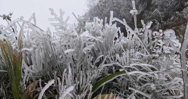 Tin sáng 9/2: Không khí lạnh gây rét đậm, rét hại, miền Bắc có nơi dưới 3 độ C; Giữ khẩn cấp tài xế lái xe khách làm 3 người chết ở Phú Yên