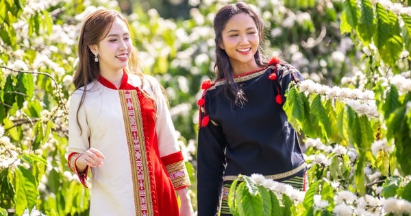 Nhiều hoạt động đặc sắc, ấn tượng tại Lễ hội Cà phê Buôn Ma Thuột năm 2025