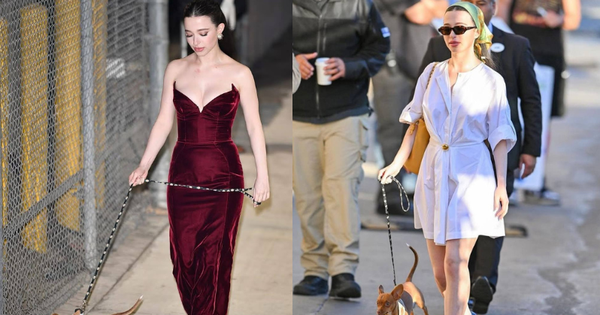 Đời thường như phim của chủ nhân tượng vàng Oscar: Diện váy cúp ngực dắt cho đi dạo bỗng viral