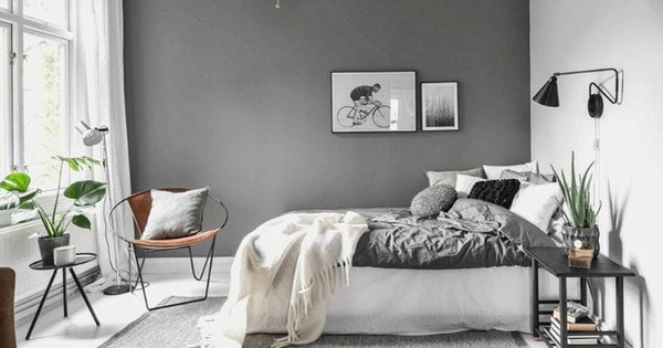 Mùa nồm ẩm làm ngay mẹo này để không gian nhà ở loại bỏ mùi khó chịu nhanh chóng