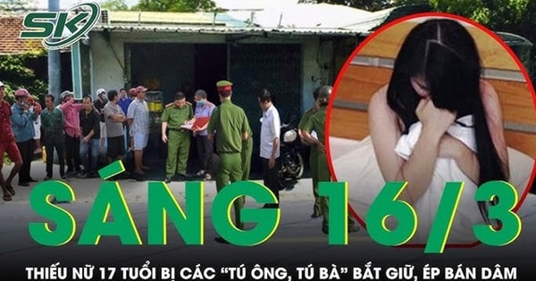 Sáng 16/3: Bóc trần hang ổ các 'tú ông, tú bà' bắt giữ, hành hung ép thiếu nữ 17 tuổi bán dâm