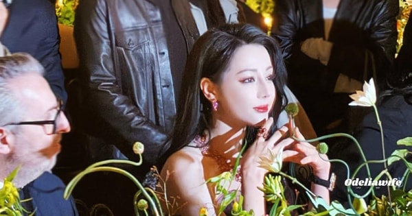 Công chúa Địch Lệ Nhiệt Ba giá đáo đêm tiệc Dior, 1 mỹ nhân cũng không hề kém cạnh