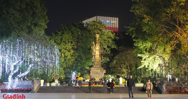 Hà Nội: Hàng cây cổ thụ được xử lý ra sao sau cải tạo vườn hoa Lý Thái Tổ