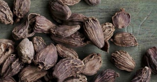 Loại gia vị được coi là 'thuốc quý', người Việt hay dùng mà chưa biết công dụng