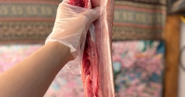 Hai nguyên nhân khiến giá thịt lợn tăng liên tục