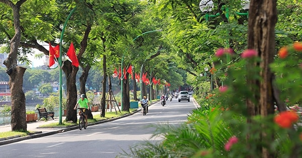 Miền Bắc có sương mù, hửng nắng về trưa chiều