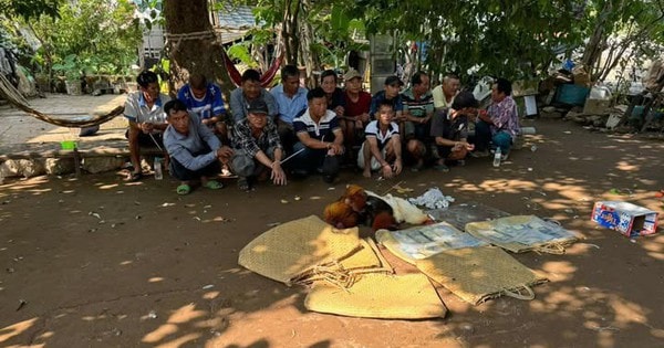 Bắt quả tang 15 đối tượng đang đá gà ăn tiền
