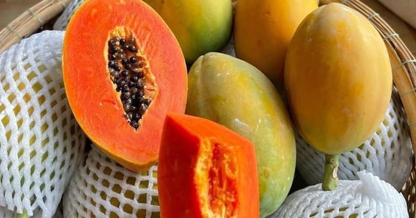 Loại quả được ví như vitamin tổng hợp bán đầy chợ Việt giá rẻ như cho