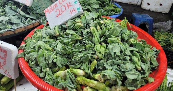 Loại rau mầm được mệnh danh là 'vua' vitamin K, đổ về Thủ đô, bán la liệt nhiều mức giá