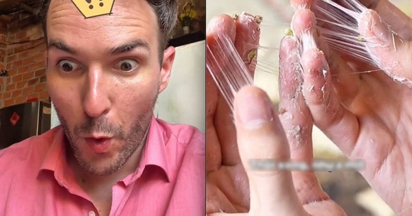 Khách Tây học kỹ năng nấu nướng để cưới vợ Việt liền gặp ngay sự cố đáng sợ, cư dân mạng kêu gọi 'giải cứu'