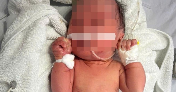 Hà Nội: Bé gái sơ sinh bị bỏ rơi ở bụi chuối, trên người nhiều vết xước và côn trùng đốt