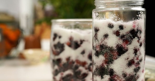 Cách ngâm dâu tằm để được lâu, không bị nổi váng