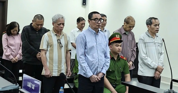 Nhóm cựu lãnh đạo Tổng công ty Chè lĩnh án, kiến nghị thu hồi 'đất vàng'