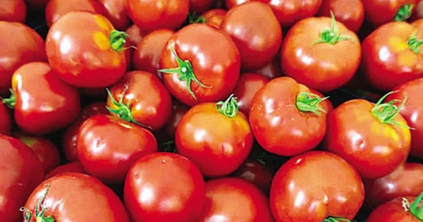 Nguyên tắc bảo quản thực phẩm, thức ăn thừa