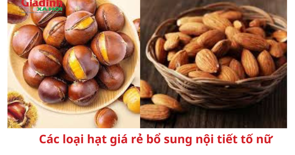 Các loại hạt giá rẻ bổ sung nội tiết tố nữ