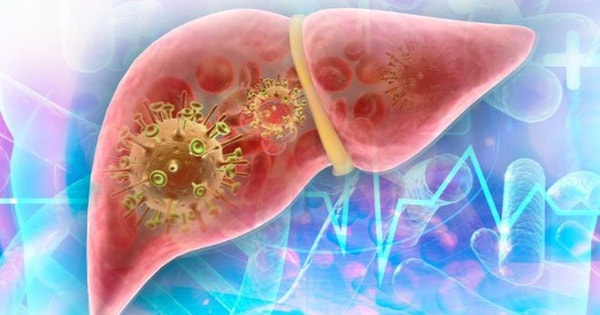 5 loại thuốc nam rẻ tiền bán đầy chợ Việt, mùa hè dùng theo cách này để làm mát gan, thải độc gan hiệu quả