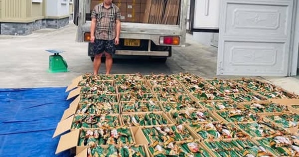 Phát hiện hơn 5 tấn chân gà rút xương không nguồn gốc xuất xứ