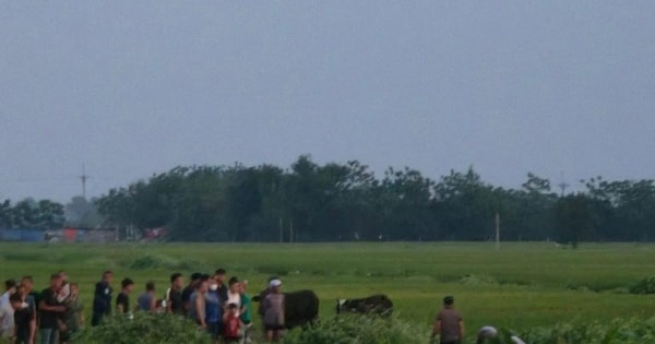 Hà Nội: Ba học sinh thương vong khi dùng gậy sắt để lấy diều mắc trên đường dây điện