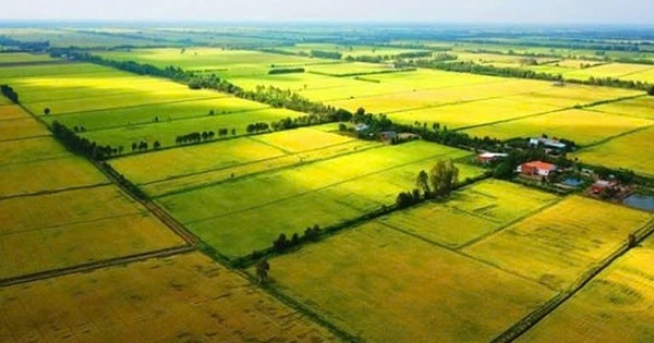 Những thông tin về mức xử phạt các hành vi vi phạm đất đai theo quy định mới nhất