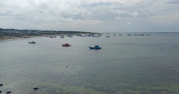 Nhảy xuống biển gỡ lưới kẹt vào chân vịt, nam thanh niên bị sóng cuốn mất tích