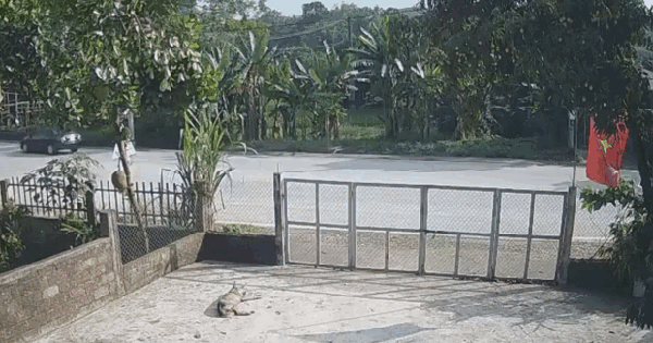 Vào cua tốc độ cao, xe máy đối đầu xe khách khiến một người tử vong ở Tuyên Quang