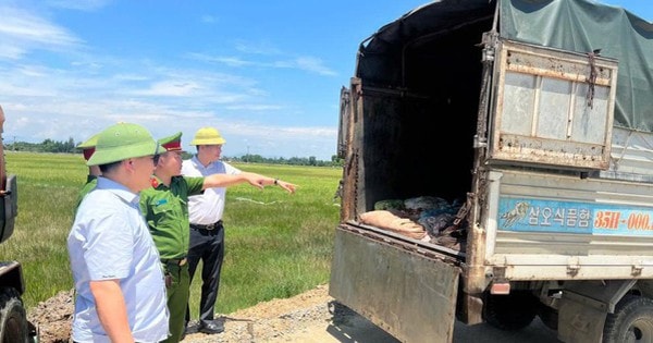 Vận chuyển hơn 1 tấn sản phẩm động vật bốc mùi hôi thối