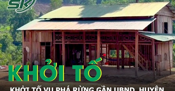 Hạt Kiểm lâm huyện Ia H'Drai, Kon Tum khởi tố vụ phá rừng gần trụ sở UBND huyện