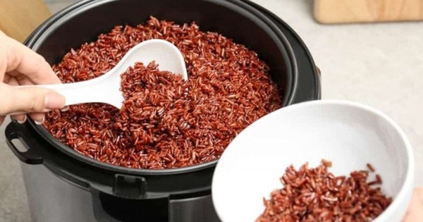 Ăn gạo lứt đúng cách để tối ưu hóa lợi ích sức khỏe