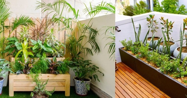 Lưu ý về hướng và cách bố trí không gian sân thượng để tránh những điều không may