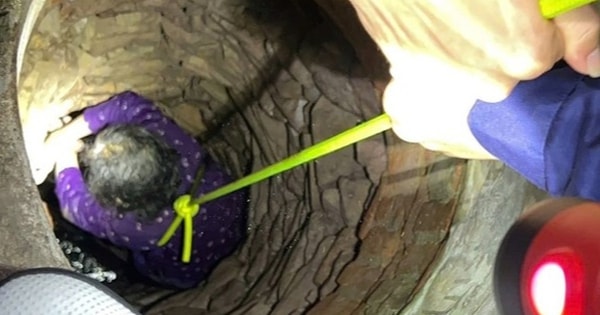 Rơi xuống giếng sâu, cụ bà 84 tuổi ở Bắc Giang được giải cứu thành công