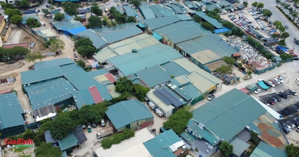 Hà Nội: 'Rừng' nhà xưởng mọc trên đất nông nghiệp, đất dự án tại huyện Thanh Trì