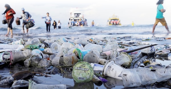 Rác thải nhựa đại dương đe dọa nghiêm trọng đến sức khỏe con người