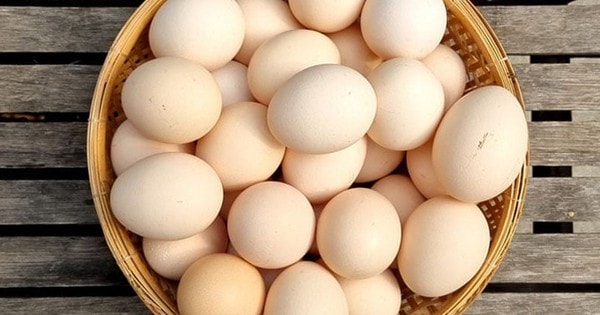 Thực phẩm 'tiếp sức mùa thi' cho các sĩ tử có sức khỏe, không bị ốm