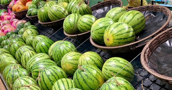 Tiểu thương lý giải nguyên nhân  dưa hấu bán tràn ngập thị trường giá chỉ 5.000 đồng/kg,