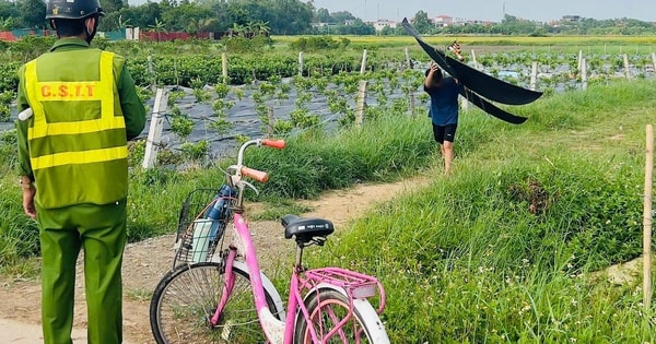 Đang hạ cánh xuống sân bay Nội Bài, phi công phát hiện 3 chiếc diều 'lơ lửng' gần đường băng