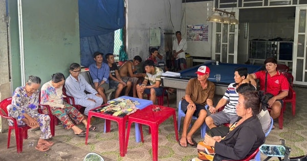 'Theo dõi đá gà qua mạng, thắng thua bằng tiền', công an tạm giữ 26 đối tượng